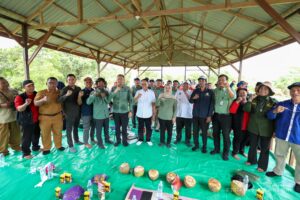 SUASANA Panen bersama Otorita IKN dalam rangkaian Hari Tani di persawahan Wisata Lumbung Padi Desa Bukit Raya, Samboja, Selasa (24/09/2024). (Humas OIKN)