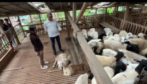 Ket foto: Pemkab Kutim saat meninjau Cipta Visi Farm. (Ist)