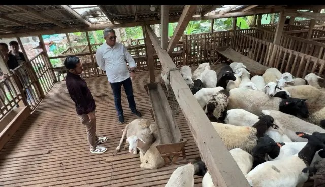 Ket foto: Pemkab Kutim saat meninjau Cipta Visi Farm. (Ist)