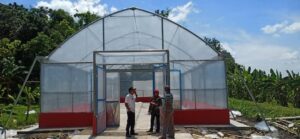 Musim Hujan Melanda, Petani Sumber Sari Tetap Produktif Berkat UV Dryer