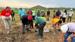 200 Hektare Lahan Bekas Tambang di Desa Embalut Disulap Jadi Penghasil Jagung Unggul