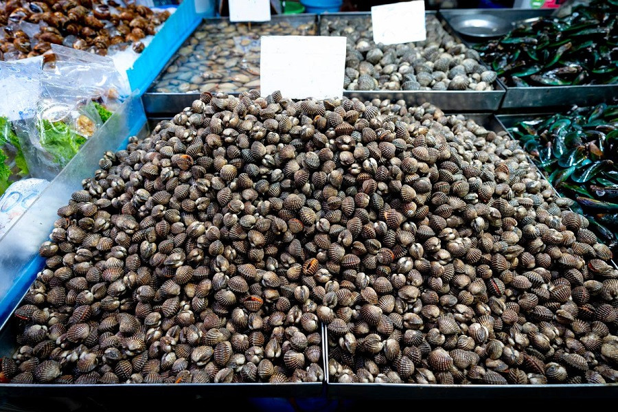Kerang Jadi Magnet Baru, Muara Badak Tawarkan Wisata Belajar dari Tambak ke Meja Makan